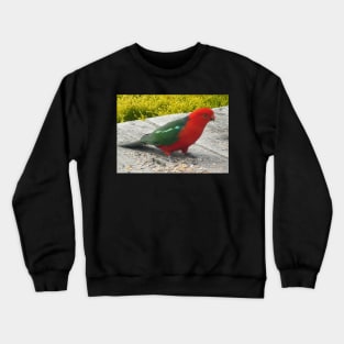 Australian King Parrot Crewneck Sweatshirt